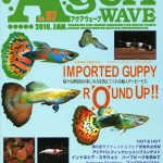 観賞魚雑誌 アクアウエーブ 57号 | 株式会社ピーシーズ
