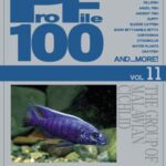 eBook(電子書籍版） PF11 マラウイ湖産シクリッド | 株式会社ピーシーズ