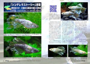 E-Bookメダカ百華第20.5号 | 株式会社ピーシーズ