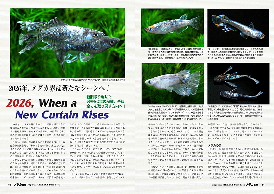 fmborussiaのブログ | 株式会社ピーシーズ