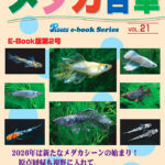eBookメダカ百華第21号 | 株式会社ピーシーズ