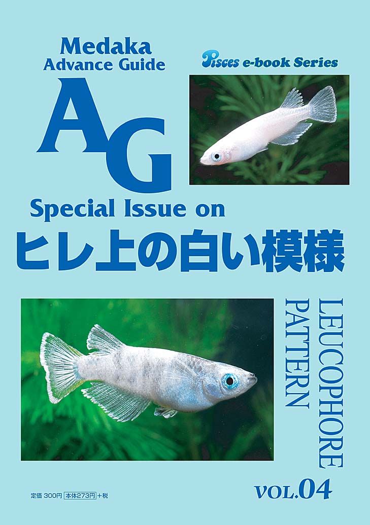MAG04WPcover